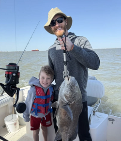 Proud moment with a hefty Black Drum.
